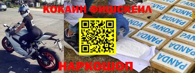гидропоника Камышлов