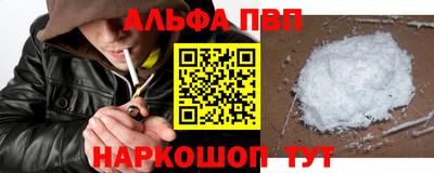 индика Кингисепп