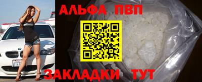 индика Кингисепп