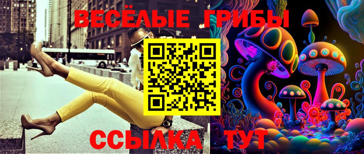 Галлюциногенные грибы Psilocybe Елизово